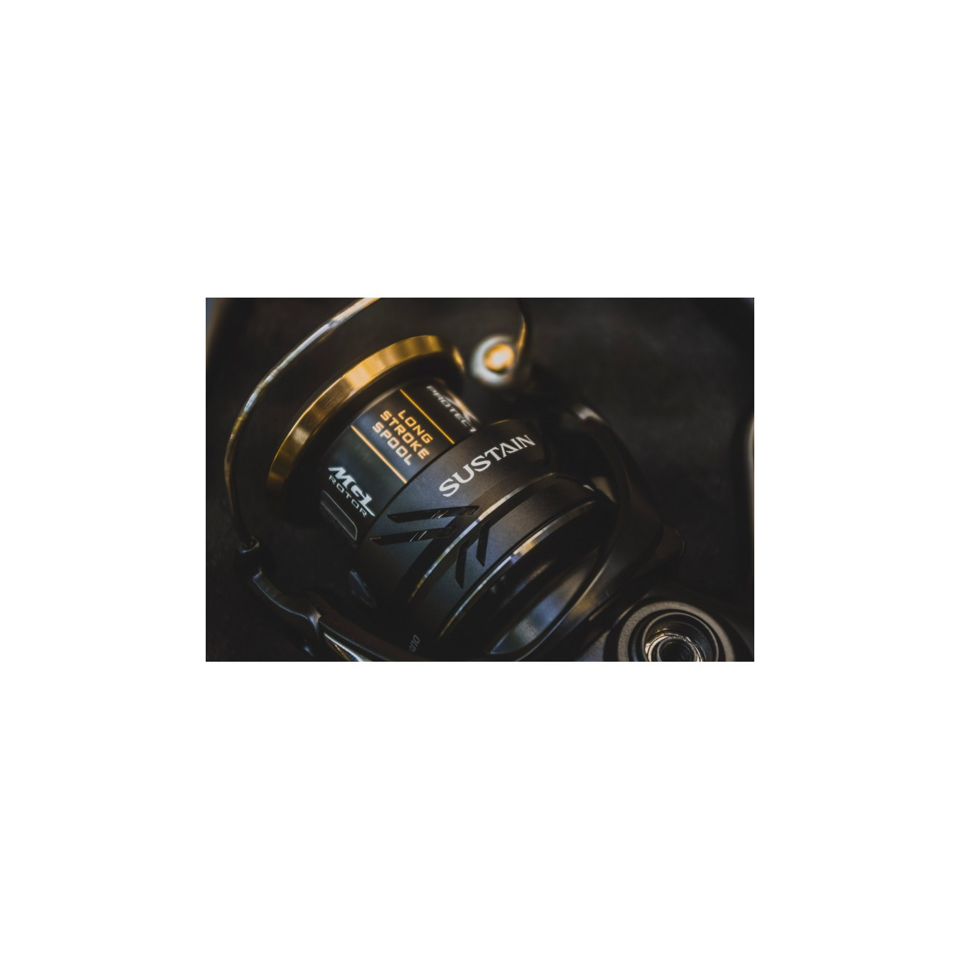 Kołowrotek Shimano Sustain FJ 2500 - Centrum wędkarskie - Sklep wędkarski Jarofishing Kołowrotek Shimano Sustain FJ 2500 - Centrum wędkarskie - Sklep wędkarski Jarofishing