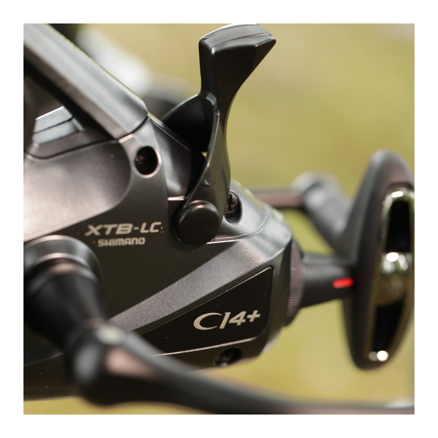 Kołowrotek Shimano Baitrunner 14000 XTB Ci4+ Longcast - Centrum wędkarskie - Sklep wędkarski Jarofishing