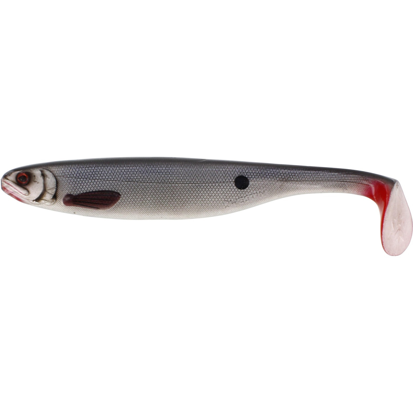 Westin Shad Teez Slim 22cm - Stamped Roach - Centrum wędkarskie - Sklep wędkarski Jarofishing Westin Shad Teez Slim 22cm - Stamped Roach - Centrum wędkarskie - Sklep wędkarski Jarofishing