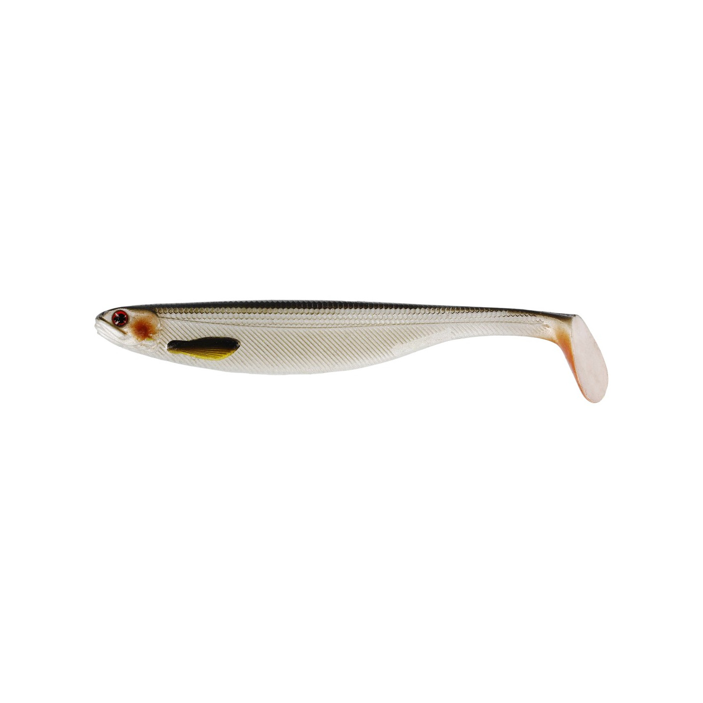 Westin Shad Teez Slim 27cm - Lively Roach - Centrum wędkarskie - Sklep wędkarski Jarofishing Westin Shad Teez Slim 27cm - Lively Roach - Centrum wędkarskie - Sklep wędkarski Jarofishing