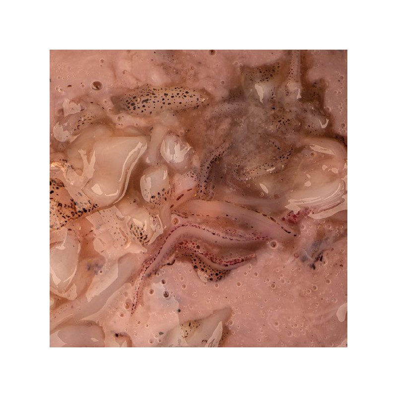 NASH Salted Squid 500ml - Centrum wędkarskie - Sklep wędkarski Jarofishing NASH Salted Squid 500ml - Centrum wędkarskie - Sklep wędkarski Jarofishing