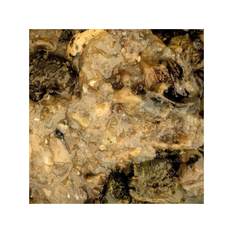 NASH Mussel Blend 500ml - Centrum wędkarskie - Sklep wędkarski Jarofishing