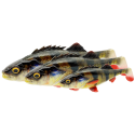 Guma Savage Gear 4D Perch Shad 12.5cm - Blue Silver - Centrum wędkarskie - Sklep wędkarski Jarofishing