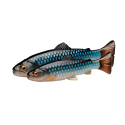 Guma Savage Gear 3D Craft Trout Pulsetail 16cm - Green Silver - Centrum wędkarskie - Sklep wędkarski Jarofishing