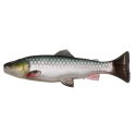 Guma Savage Gear 3D Craft Trout Pulsetail 16cm - Green Silver - Centrum wędkarskie - Sklep wędkarski Jarofishing