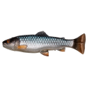 Guma Savage Gear 3D Craft Trout Pulsetail 16cm - Roach - Centrum wędkarskie - Sklep wędkarski Jarofishing Guma Savage Gear 3D Craft Trout Pulsetail 16cm - Roach - Centrum wędkarskie - Sklep wędkarski Jarofishing
