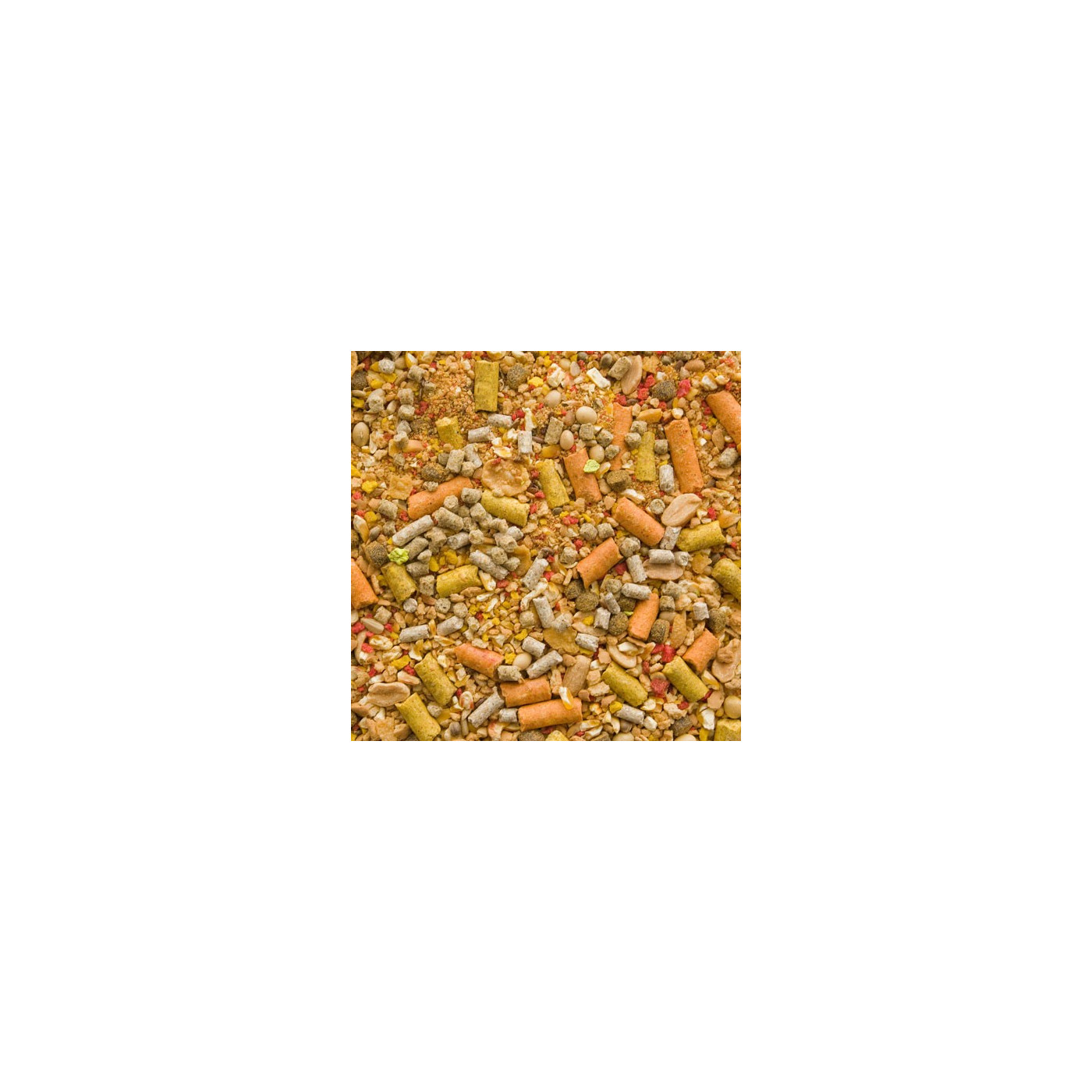 Boland Zanęta Mega Karp - Słodka Kukurydza 2,5KG - Centrum wędkarskie - Sklep wędkarski Jarofishing Boland Zanęta Mega Karp - Słodka Kukurydza 2,5KG - Centrum wędkarskie - Sklep wędkarski Jarofishing