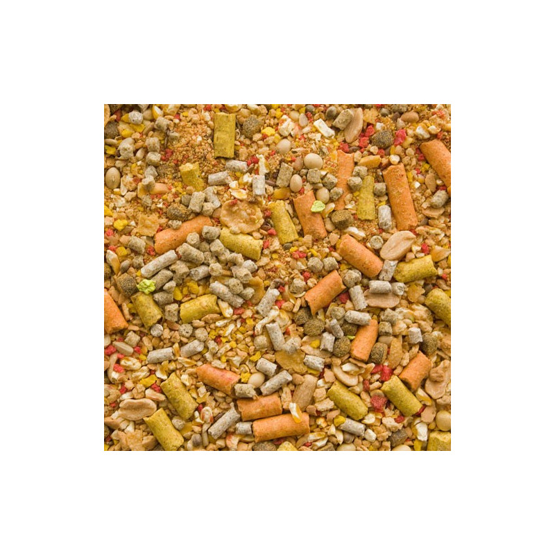 Boland Zanęta Mega Karp - Słodka Kukurydza 2,5KG - Centrum wędkarskie - Sklep wędkarski Jarofishing Boland Zanęta Mega Karp - Słodka Kukurydza 2,5KG - Centrum wędkarskie - Sklep wędkarski Jarofishing