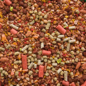 Boland Zanęta Mega Karp - Truskawka 2,5KG - Centrum wędkarskie - Sklep wędkarski Jarofishing Boland Zanęta Mega Karp - Truskawka 2,5KG - Centrum wędkarskie - Sklep wędkarski Jarofishing