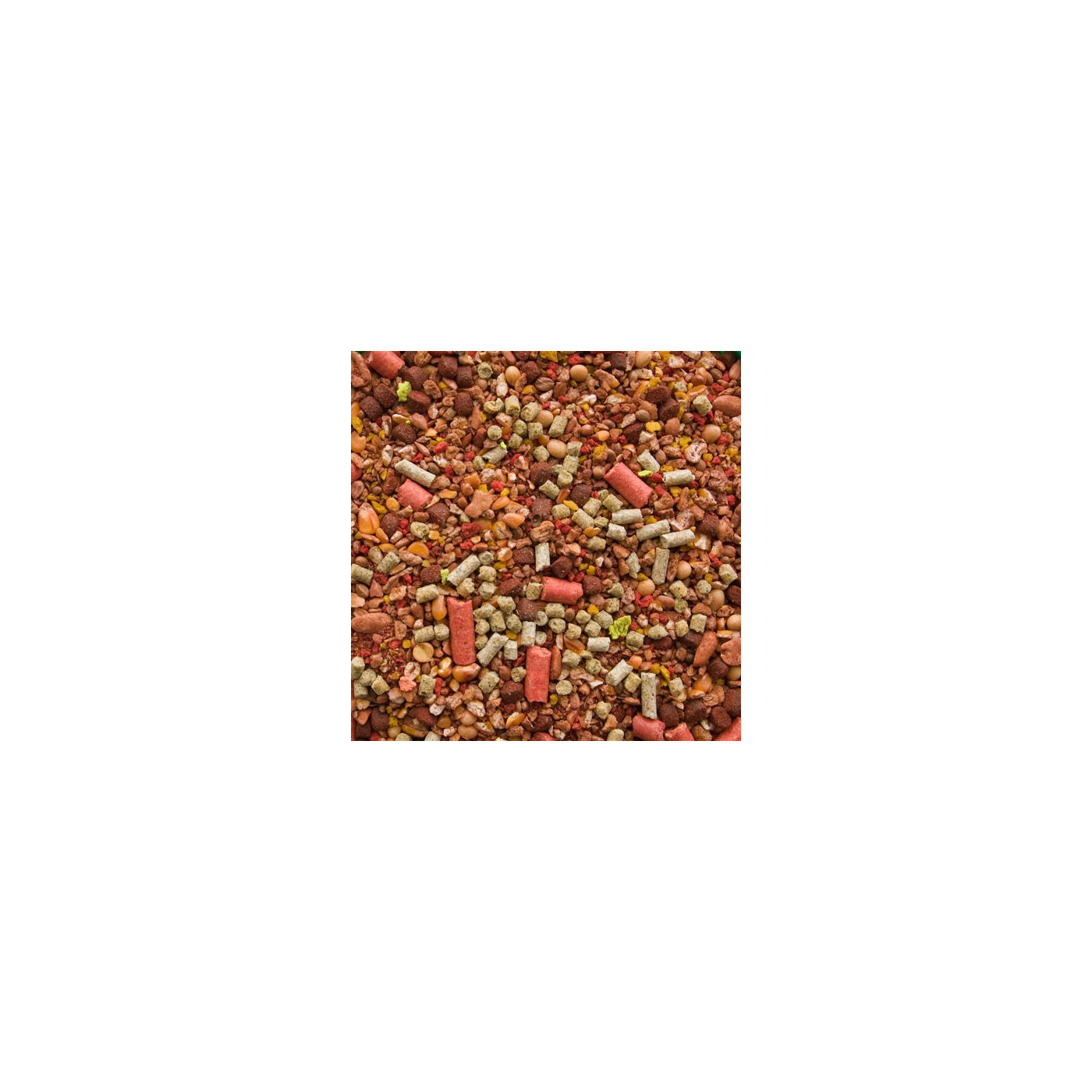 Boland Zanęta Mega Karp - Truskawka 2,5KG - Centrum wędkarskie - Sklep wędkarski Jarofishing Boland Zanęta Mega Karp - Truskawka 2,5KG - Centrum wędkarskie - Sklep wędkarski Jarofishing