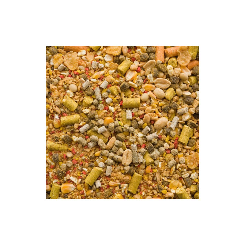 Boland Zanęta Mega Karp - Wanilia 2,5KG - Centrum wędkarskie - Sklep wędkarski Jarofishing Boland Zanęta Mega Karp - Wanilia 2,5KG - Centrum wędkarskie - Sklep wędkarski Jarofishing
