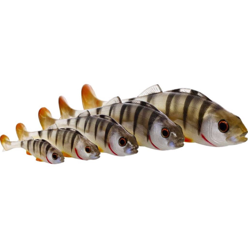 Guma Westin Original Perch 7cm Orange Perch - Centrum wędkarskie - Sklep wędkarski Jarofishing Guma Westin Original Perch 7cm Orange Perch - Centrum wędkarskie - Sklep wędkarski Jarofishing