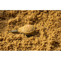 Sonubaits Pro Feed Pellet - 1mm - Centrum wędkarskie - Sklep wędkarski Jarofishing Sonubaits Pro Feed Pellet - 1mm - Centrum wędkarskie - Sklep wędkarski Jarofishing