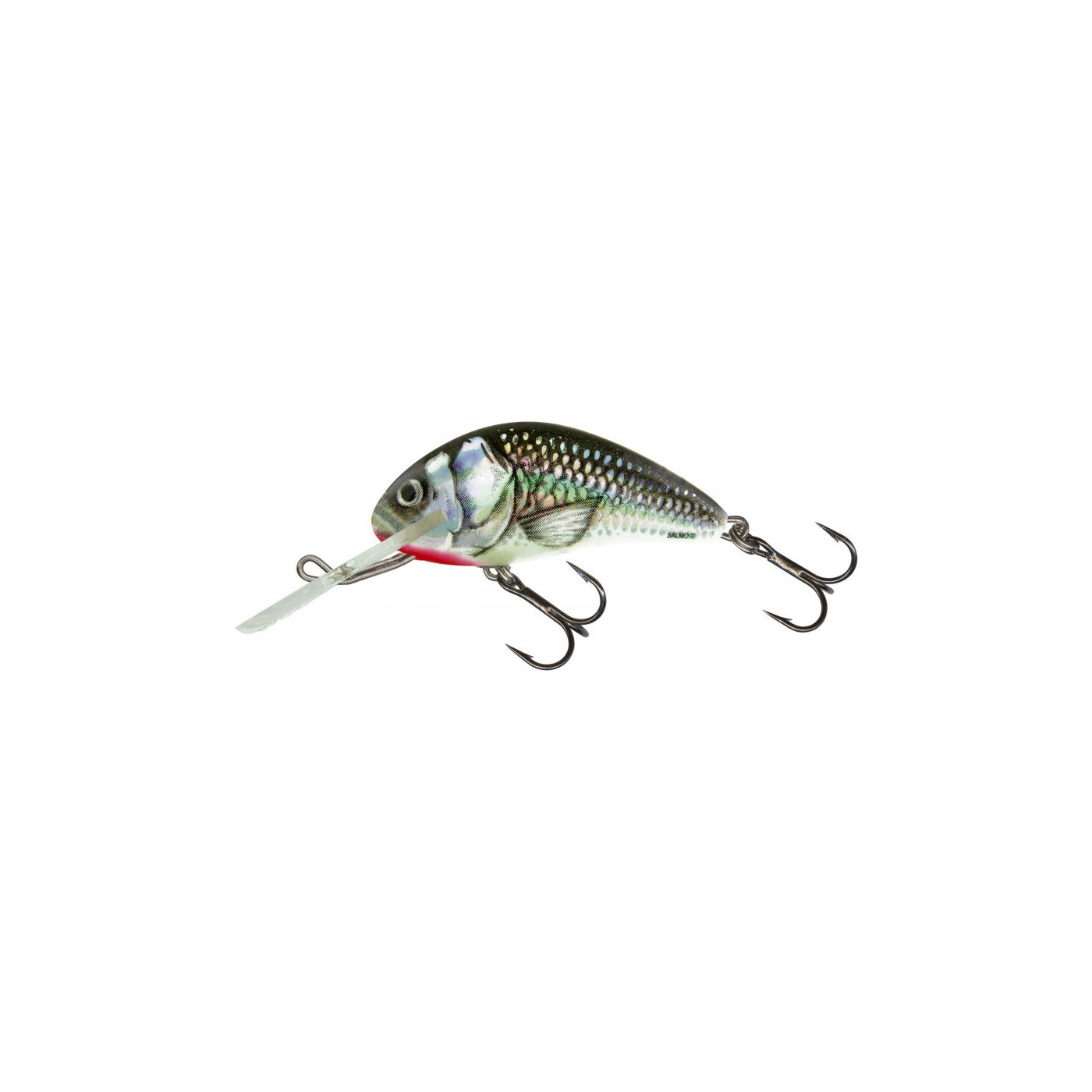 Wobler Salmo Hornet 4cm Floating - HGS / Holographic Grey Shiner - Centrum wędkarskie - Sklep wędkarski Jarofishing