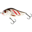 Wobler Salmo Slider 12,0cm Sinking - WRGS / Wounded Real Grey Shiner - Centrum wędkarskie - Sklep wędkarski Jarofishing Wobler Salmo Slider 12,0cm Sinking - WRGS / Wounded Real Grey Shiner - Centrum wędkarskie - Sklep wędkarski Jarofishing