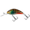 Wobler Salmo Rattlin Hornet 3,5cm Floating - Hot Gill Clear - Centrum wędkarskie - Sklep wędkarski Jarofishing Wobler Salmo Rattlin Hornet 3,5cm Floating - Hot Gill Clear - Centrum wędkarskie - Sklep wędkarski Jarofishing