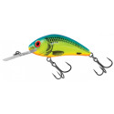 Wobler Salmo Rattlin Hornet 4,5cm Floating - CB / Chartreuse Blue - Centrum wędkarskie - Sklep wędkarski Jarofishing Wobler Salmo Rattlin Hornet 4,5cm Floating - CB / Chartreuse Blue - Centrum wędkarskie - Sklep wędkarski Jarofishing