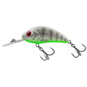 Wobler Salmo Rattlin Hornet 4,5cm Floating - Ghost Perch - Centrum wędkarskie - Sklep wędkarski Jarofishing Wobler Salmo Rattlin Hornet 4,5cm Floating - Ghost Perch - Centrum wędkarskie - Sklep wędkarski Jarofishing