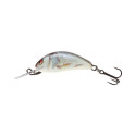 Wobler Salmo Hornet 3,5cm Sinking - RD / Real Dace - Centrum wędkarskie - Sklep wędkarski Jarofishing Wobler Salmo Hornet 3,5cm Sinking - RD / Real Dace - Centrum wędkarskie - Sklep wędkarski Jarofishing
