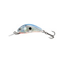 Wobler Salmo Hornet 4,0cm Floating - SBS / Silver Blue Shad - Centrum wędkarskie - Sklep wędkarski Jarofishing Wobler Salmo Hornet 4,0cm Floating - SBS / Silver Blue Shad - Centrum wędkarskie - Sklep wędkarski Jarofishing