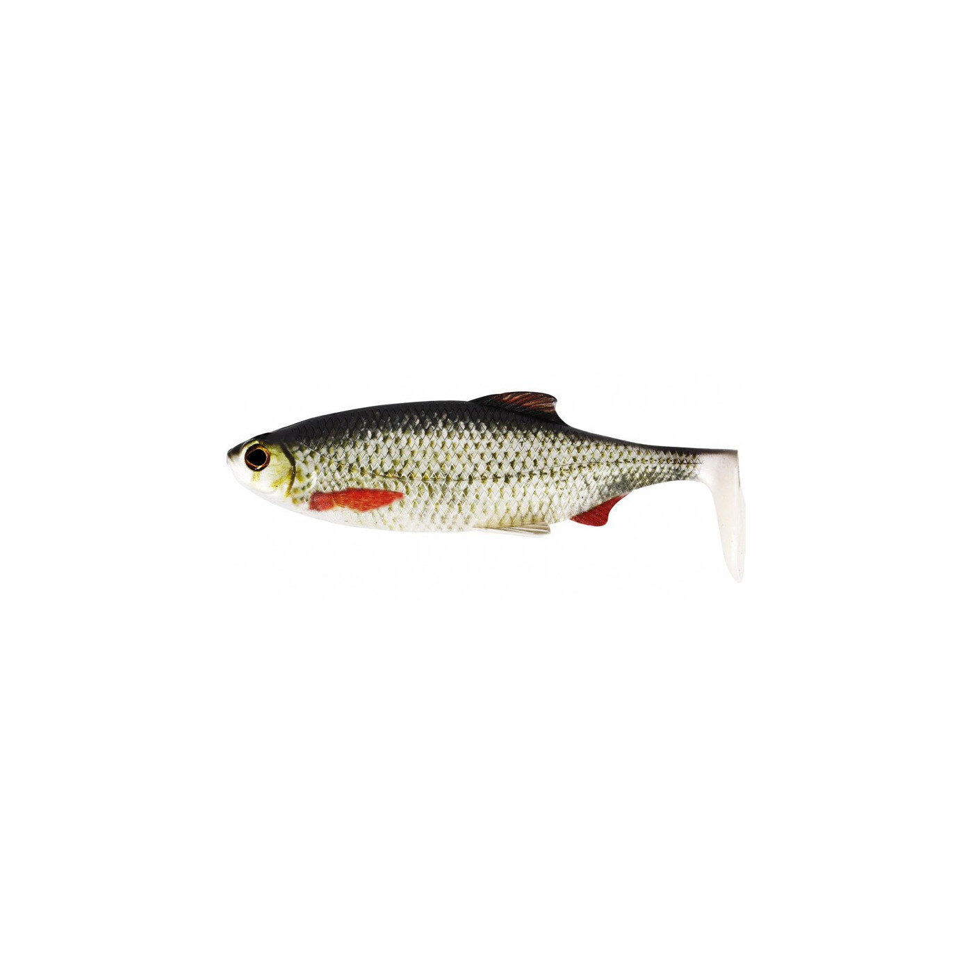 Westin Ricky the Roach 18cm - Real Roach - Centrum wędkarskie - Sklep wędkarski Jarofishing Westin Ricky the Roach 18cm - Real Roach - Centrum wędkarskie - Sklep wędkarski Jarofishing