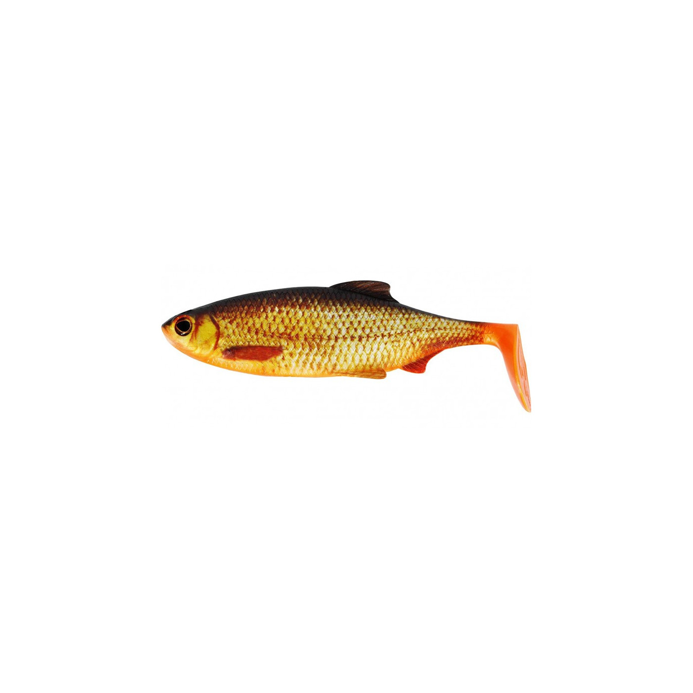 Westin Ricky the Roach 18cm - Real Rudd - Centrum wędkarskie - Sklep wędkarski Jarofishing Westin Ricky the Roach 18cm - Real Rudd - Centrum wędkarskie - Sklep wędkarski Jarofishing