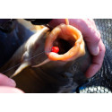 Sonubaits Band'Um Wafters 6mm - Fluoro - Centrum wędkarskie - Sklep wędkarski Jarofishing Sonubaits Band'Um Wafters 6mm - Fluoro - Centrum wędkarskie - Sklep wędkarski Jarofishing