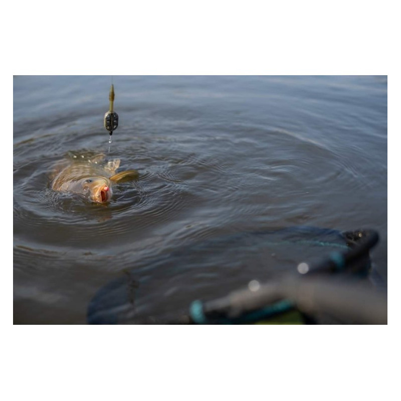 Sonubaits Band'Um Wafters Micro - Krill & Squid - Centrum wędkarskie - Sklep wędkarski Jarofishing Sonubaits Band'Um Wafters Micro - Krill & Squid - Centrum wędkarskie - Sklep wędkarski Jarofishing