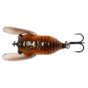 Wobler / Cykada Savage Gear 3D Cicada 3,3cm Brown - Centrum wędkarskie - Sklep wędkarski Jarofishing Wobler / Cykada Savage Gear 3D Cicada 3,3cm Brown - Centrum wędkarskie - Sklep wędkarski Jarofishing
