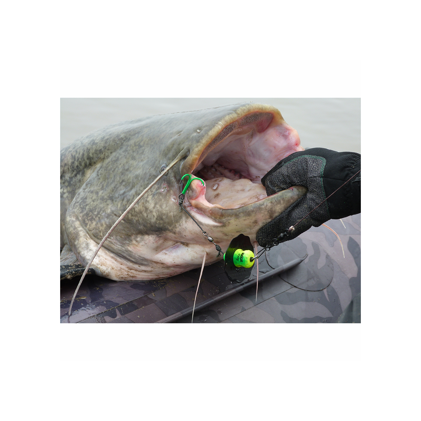 MADCAT A-STATIC CLONK TEASER 16CM 2/0 100G SINKING GLOW-IN-THE-DARK - Centrum wędkarskie - Sklep wędkarski Jarofishing MADCAT A-STATIC CLONK TEASER 16CM 2/0 100G SINKING GLOW-IN-THE-DARK - Centrum wędkarskie - Sklep wędkarski Jarofishing