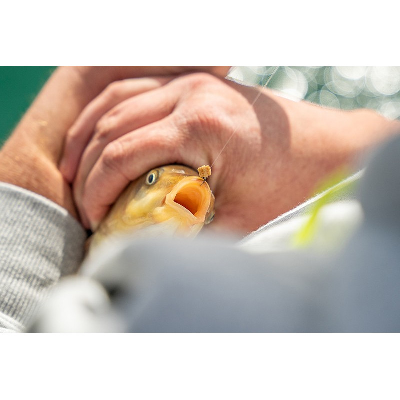 Gumki Matrix Super Soft Bait Bands Medium - Centrum wędkarskie - Sklep wędkarski Jarofishing Gumki Matrix Super Soft Bait Bands Medium - Centrum wędkarskie - Sklep wędkarski Jarofishing