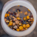 Nash Large Seed Mix 2,5L - Centrum wędkarskie - Sklep wędkarski Jarofishing