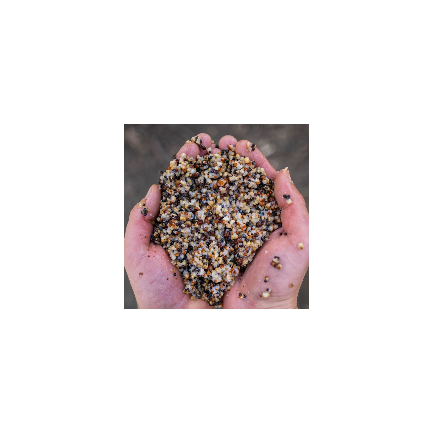 Nash Small Seed Mix 2,5L - Centrum wędkarskie - Sklep wędkarski Jarofishing