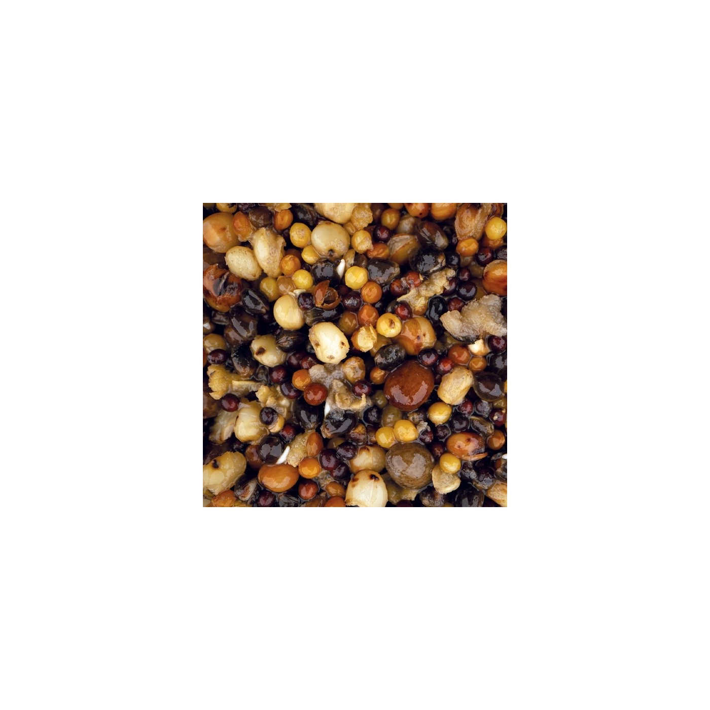 Nash Small Seed Mix 2,5L - Centrum wędkarskie - Sklep wędkarski Jarofishing