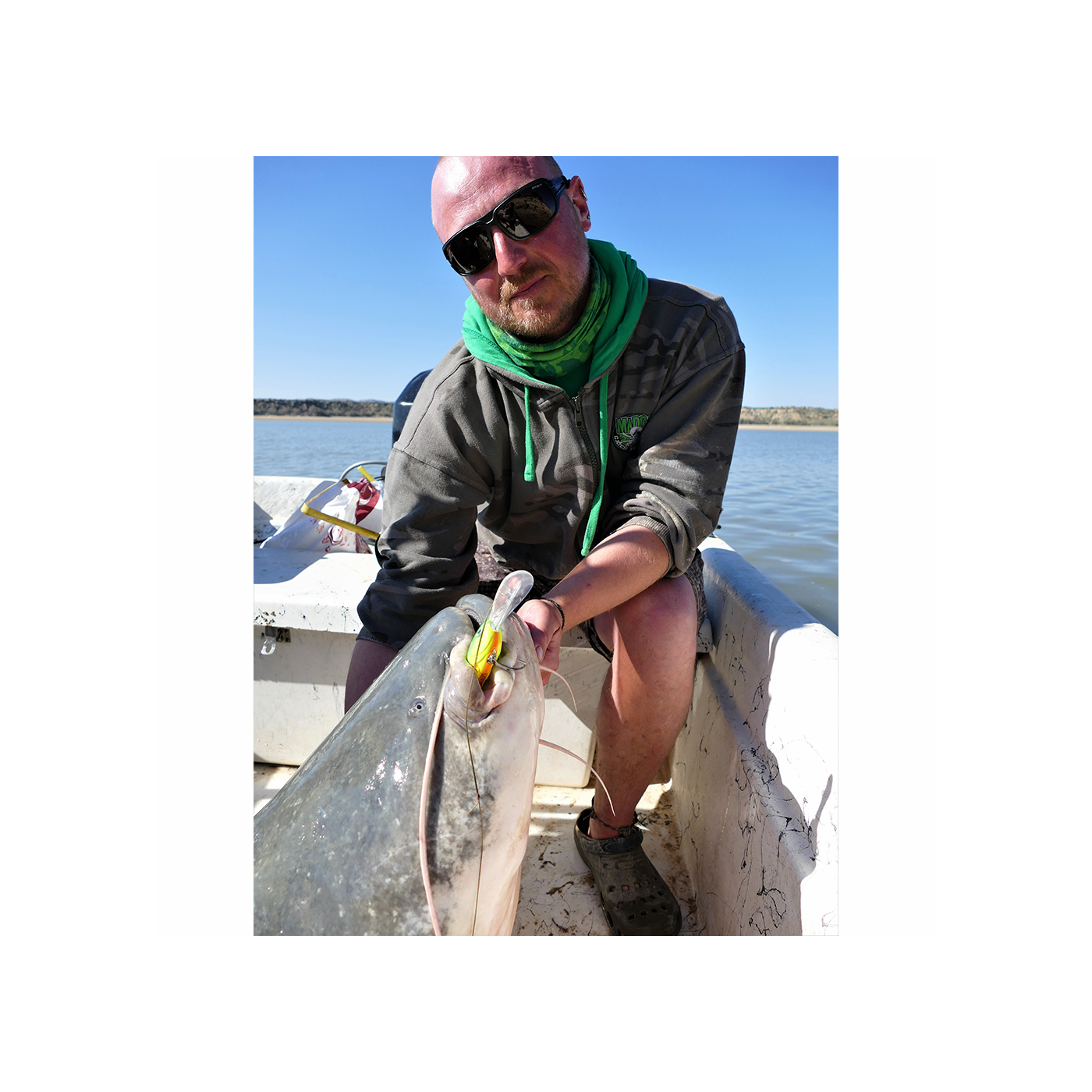 MadCat Bait Holders 20mm/16szt - Centrum wędkarskie - Sklep wędkarski Jarofishing MadCat Bait Holders 20mm/16szt - Centrum wędkarskie - Sklep wędkarski Jarofishing