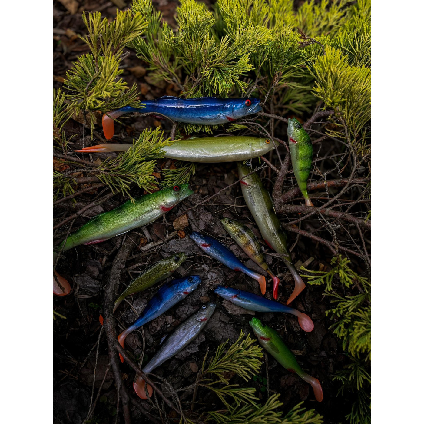 Guma FISHSPEC Okoń 11cm Niebieski - Centrum wędkarskie - Sklep wędkarski Jarofishing Guma FISHSPEC Okoń 11cm Niebieski - Centrum wędkarskie - Sklep wędkarski Jarofishing