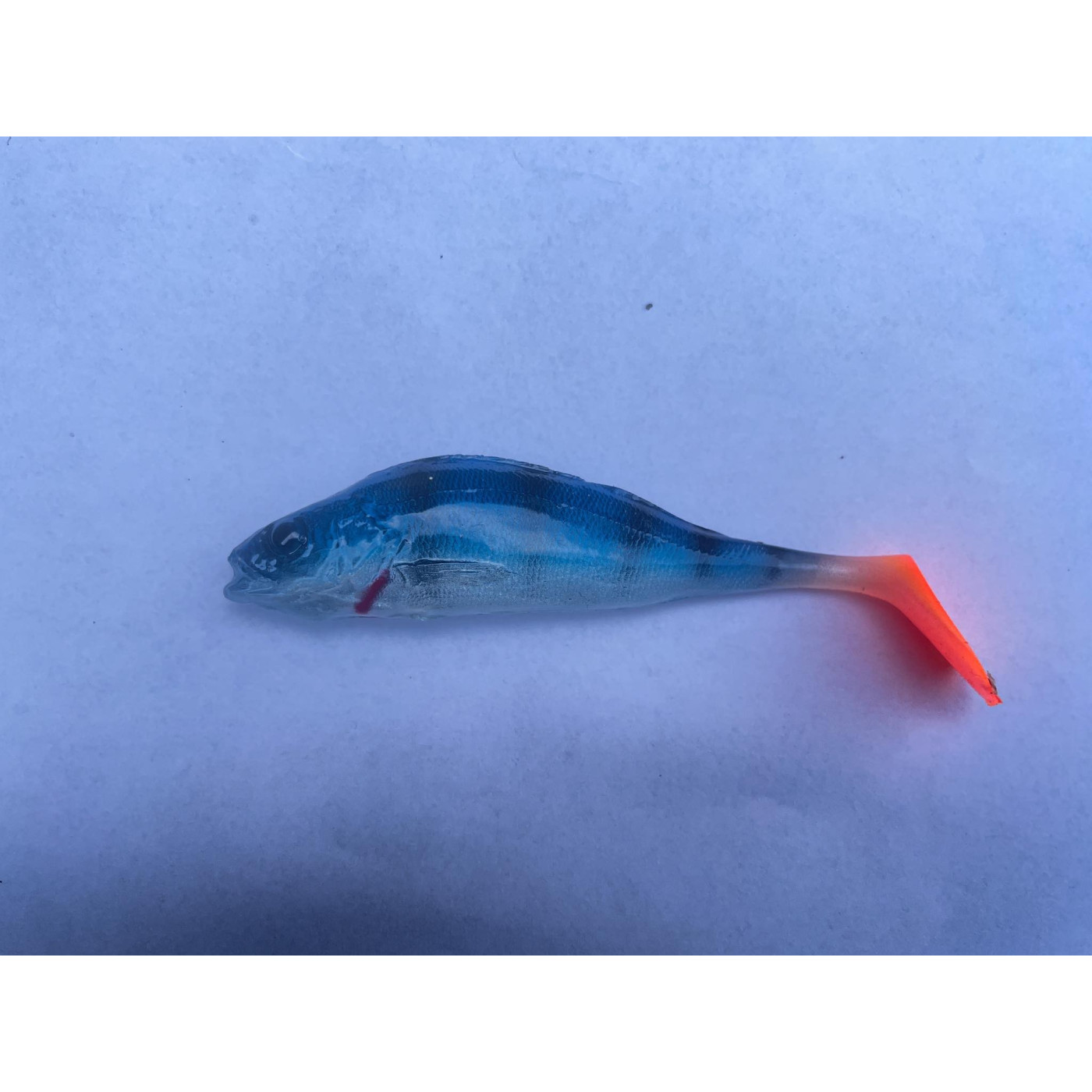 Guma FISHSPEC Okoń 11cm Niebieski - Centrum wędkarskie - Sklep wędkarski Jarofishing Guma FISHSPEC Okoń 11cm Niebieski - Centrum wędkarskie - Sklep wędkarski Jarofishing