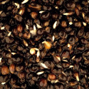 Nash Oily Hemp 0,5L - Centrum wędkarskie - Sklep wędkarski Jarofishing Nash Oily Hemp 0,5L - Centrum wędkarskie - Sklep wędkarski Jarofishing