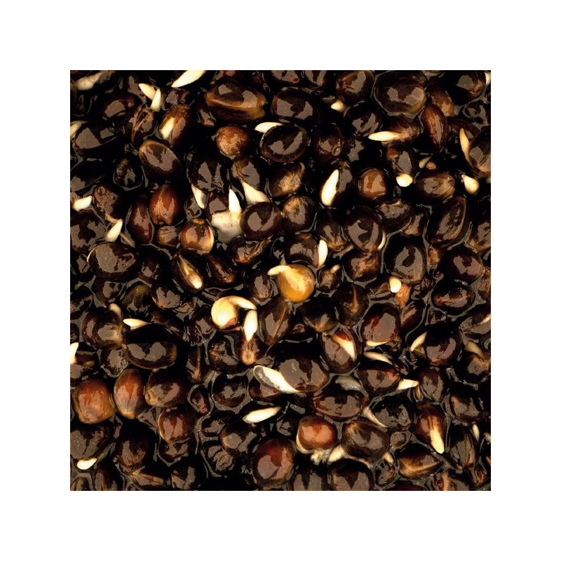 Nash Oily Hemp 0,5L - Centrum wędkarskie - Sklep wędkarski Jarofishing Nash Oily Hemp 0,5L - Centrum wędkarskie - Sklep wędkarski Jarofishing