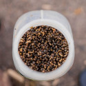 Nash Oily Hemp 0,5L - Centrum wędkarskie - Sklep wędkarski Jarofishing Nash Oily Hemp 0,5L - Centrum wędkarskie - Sklep wędkarski Jarofishing