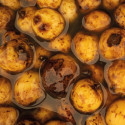Nash Sweet Tiger Nuts 0,5L - Centrum wędkarskie - Sklep wędkarski Jarofishing Nash Sweet Tiger Nuts 0,5L - Centrum wędkarskie - Sklep wędkarski Jarofishing