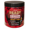 Orzechy Tygrysie Starbaits Ready Bright Tiger - Hot Demon - Centrum wędkarskie - Sklep wędkarski Jarofishing