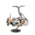 Kołowrotek Daiwa Freams 21 LT5000-C - Centrum wędkarskie - Sklep wędkarski Jarofishing Kołowrotek Daiwa Freams 21 LT5000-C - Centrum wędkarskie - Sklep wędkarski Jarofishing