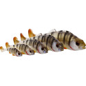 Guma Westin Original Perch 7cm Real Perch - Centrum wędkarskie - Sklep wędkarski Jarofishing Guma Westin Original Perch 7cm Real Perch - Centrum wędkarskie - Sklep wędkarski Jarofishing