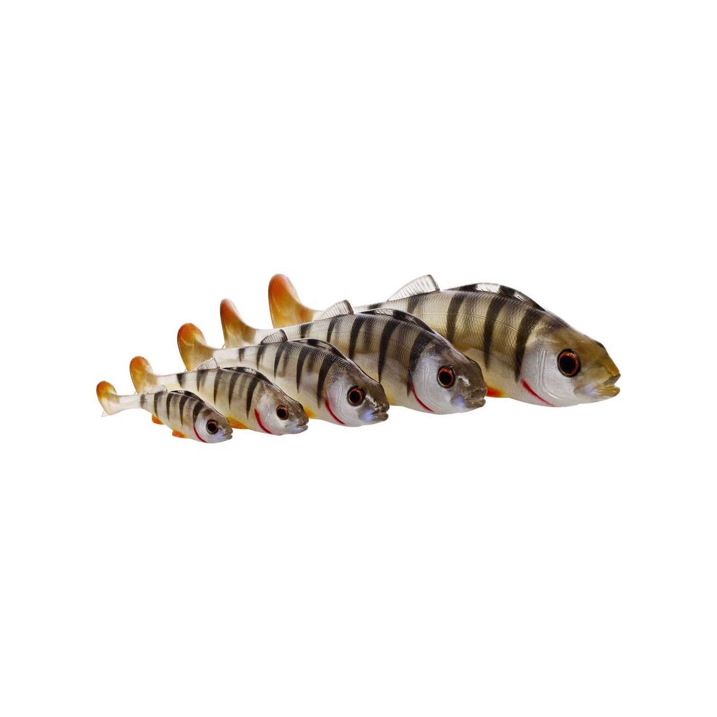 Guma Westin Original Perch 7cm Real Perch - Centrum wędkarskie - Sklep wędkarski Jarofishing Guma Westin Original Perch 7cm Real Perch - Centrum wędkarskie - Sklep wędkarski Jarofishing