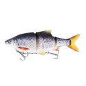 GUMA WESTIN RICKY THE ROACH INLINE Slow Sinking 15cm/47g - REAL ROACH - Centrum wędkarskie - Sklep wędkarski Jarofishing GUMA WESTIN RICKY THE ROACH INLINE Slow Sinking 15cm/47g - REAL ROACH - Centrum wędkarskie - Sklep wędkarski Jarofishing