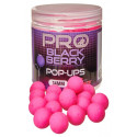 Kulki Pop-up Starbaits Probiotic Blackberry 16mm - Centrum wędkarskie - Sklep wędkarski Jarofishing Kulki Pop-up Starbaits Probiotic Blackberry 16mm - Centrum wędkarskie - Sklep wędkarski Jarofishing