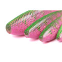 Fox Rage Zander Pro Shad Ultra UV Electric Perch 7,5cm - Centrum wędkarskie - Sklep wędkarski Jarofishing