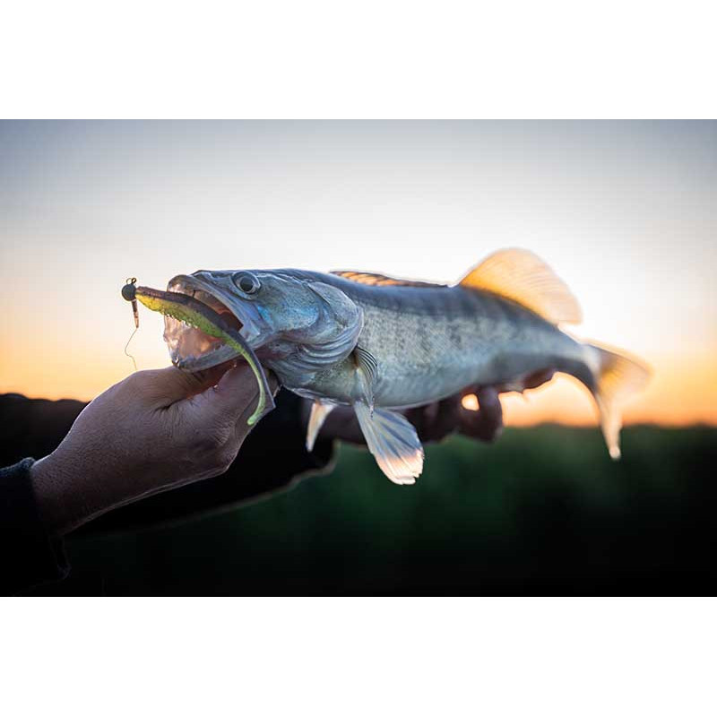 Fox Rage Scent Shads Sparkling Minnow 7CM - Centrum wędkarskie - Sklep wędkarski Jarofishing Fox Rage Scent Shads Sparkling Minnow 7CM - Centrum wędkarskie - Sklep wędkarski Jarofishing