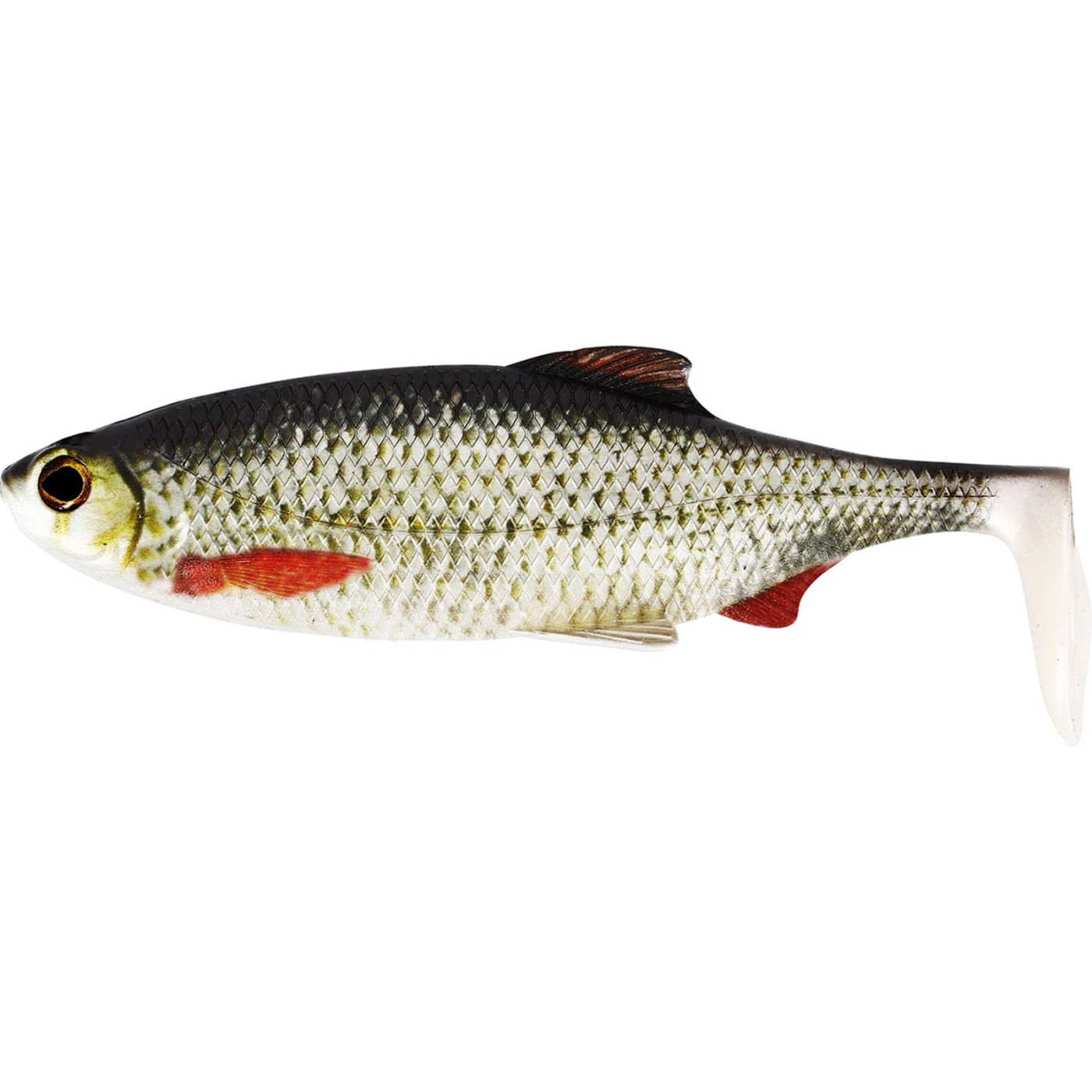 Westin Ricky the Roach 7cm - Real Roach - Centrum wędkarskie - Sklep wędkarski Jarofishing Westin Ricky the Roach 7cm - Real Roach - Centrum wędkarskie - Sklep wędkarski Jarofishing